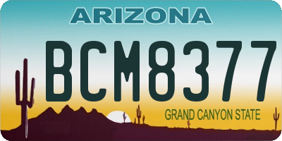 AZ license plate BCM8377