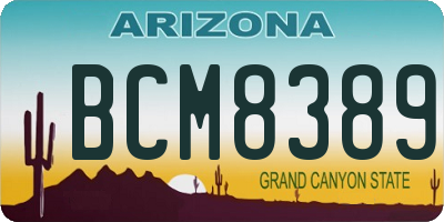 AZ license plate BCM8389