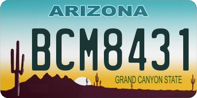 AZ license plate BCM8431