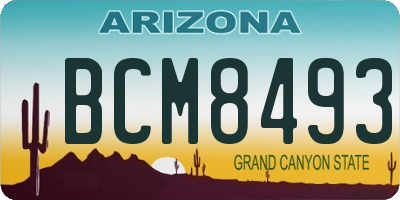 AZ license plate BCM8493