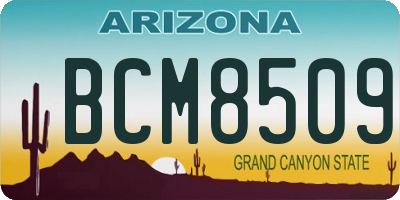 AZ license plate BCM8509