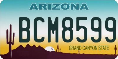 AZ license plate BCM8599