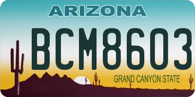 AZ license plate BCM8603