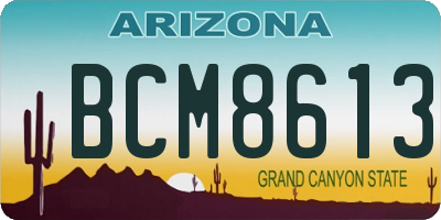 AZ license plate BCM8613