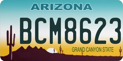 AZ license plate BCM8623