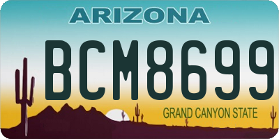 AZ license plate BCM8699