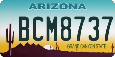 AZ license plate BCM8737