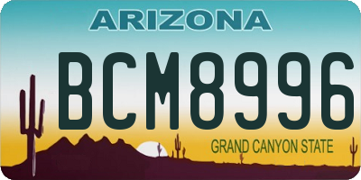 AZ license plate BCM8996