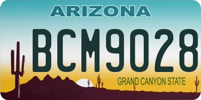 AZ license plate BCM9028