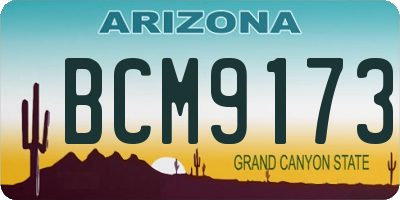 AZ license plate BCM9173