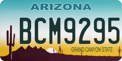 AZ license plate BCM9295