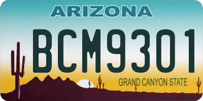AZ license plate BCM9301