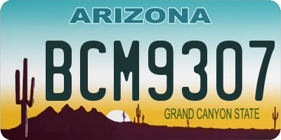 AZ license plate BCM9307