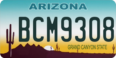 AZ license plate BCM9308