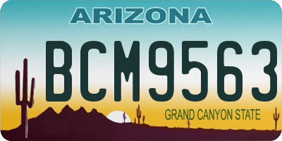 AZ license plate BCM9563