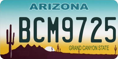 AZ license plate BCM9725