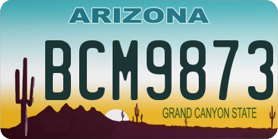 AZ license plate BCM9873