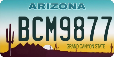 AZ license plate BCM9877