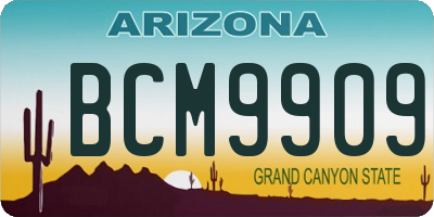 AZ license plate BCM9909