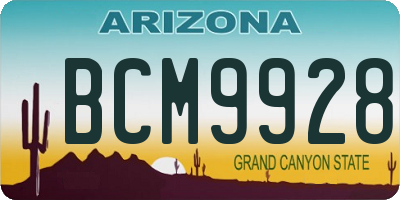 AZ license plate BCM9928