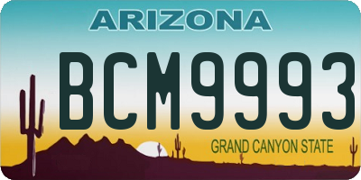 AZ license plate BCM9993