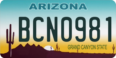 AZ license plate BCN0981