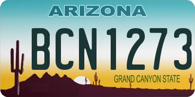 AZ license plate BCN1273