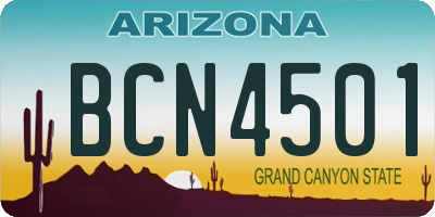 AZ license plate BCN4501