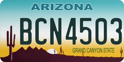 AZ license plate BCN4503