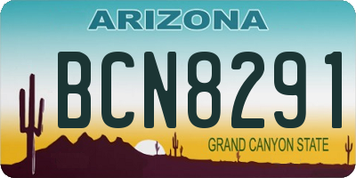 AZ license plate BCN8291