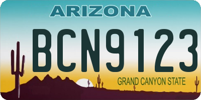 AZ license plate BCN9123