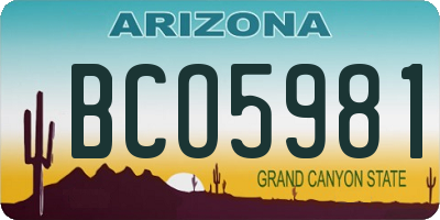 AZ license plate BCO5981