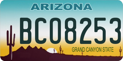 AZ license plate BCO8253