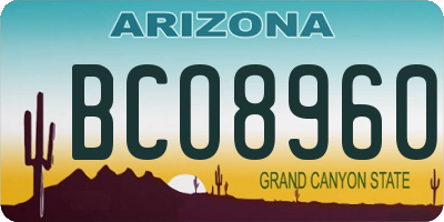 AZ license plate BCO8960