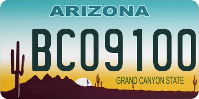 AZ license plate BCO9100