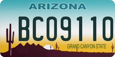 AZ license plate BCO9110