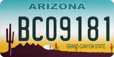 AZ license plate BCO9181