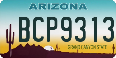 AZ license plate BCP9313