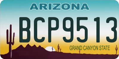 AZ license plate BCP9513