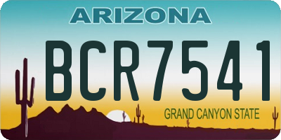 AZ license plate BCR7541