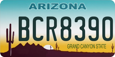 AZ license plate BCR8390