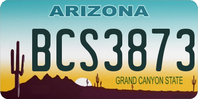 AZ license plate BCS3873