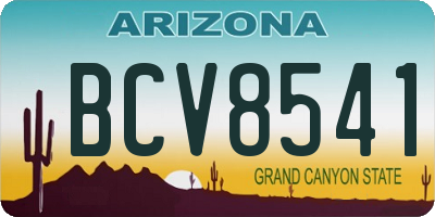 AZ license plate BCV8541