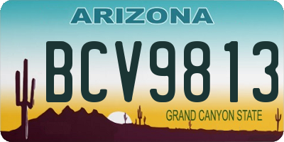 AZ license plate BCV9813