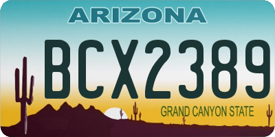 AZ license plate BCX2389