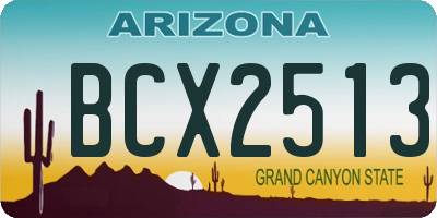 AZ license plate BCX2513