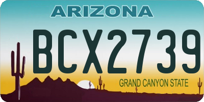 AZ license plate BCX2739