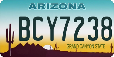 AZ license plate BCY7238