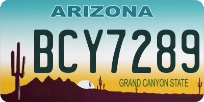 AZ license plate BCY7289