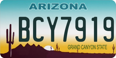 AZ license plate BCY7919